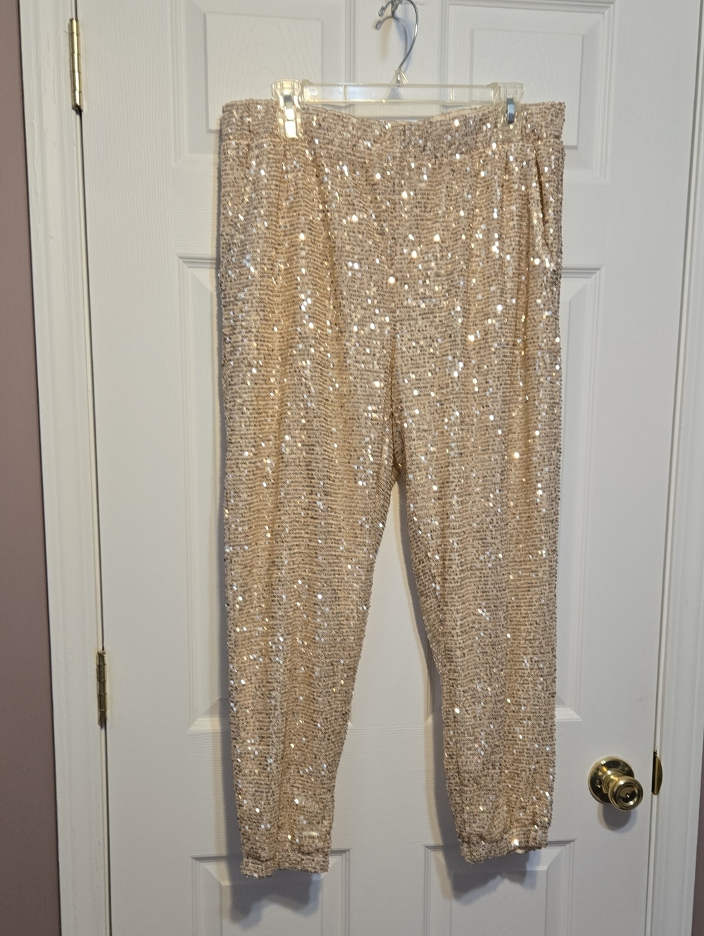 Serra Sequin Jogger Pants in Champagne Gold